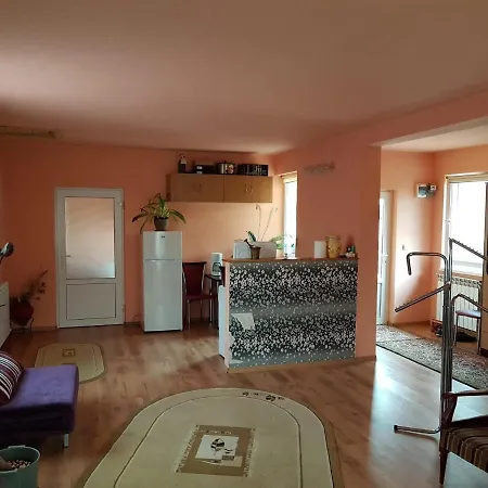 Sasha's Place Apartmán Constanţa