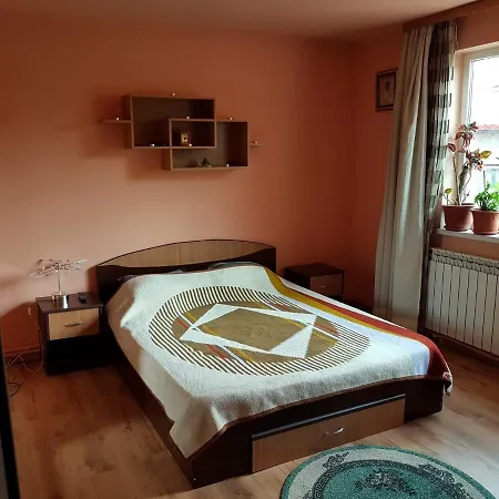 Sasha's Place Apartment
