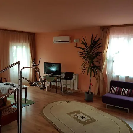 Apartment Sasha's Place