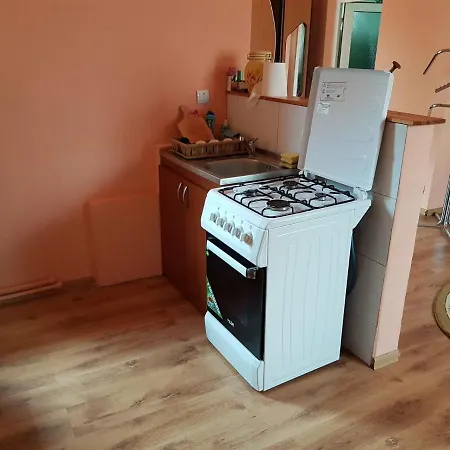 Sasha's Place Apartment