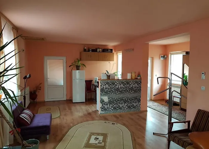 Sasha's Place Apartment Constanţa