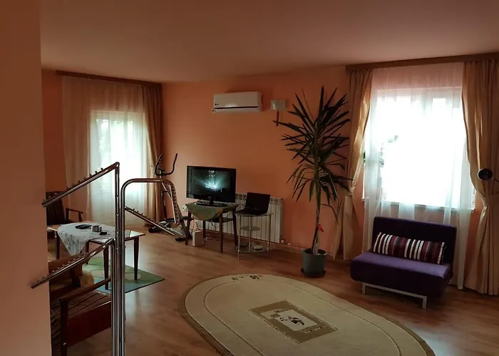 Apartment Sasha's Place