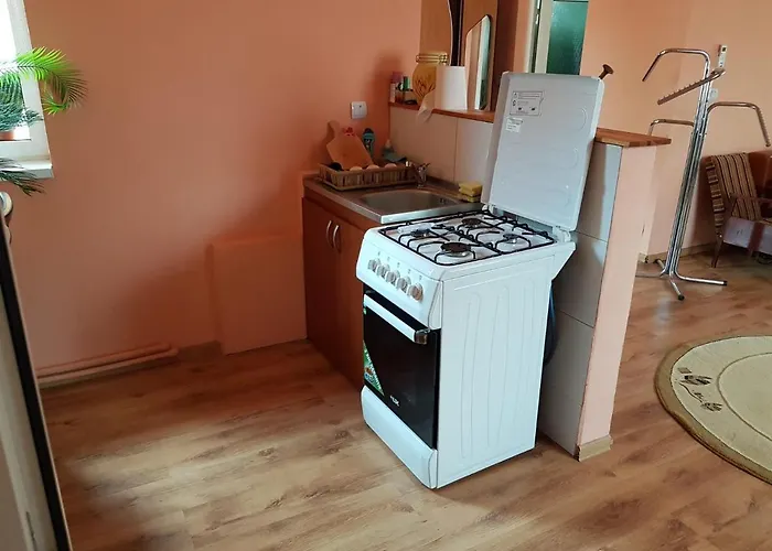 Sasha's Place Apartment